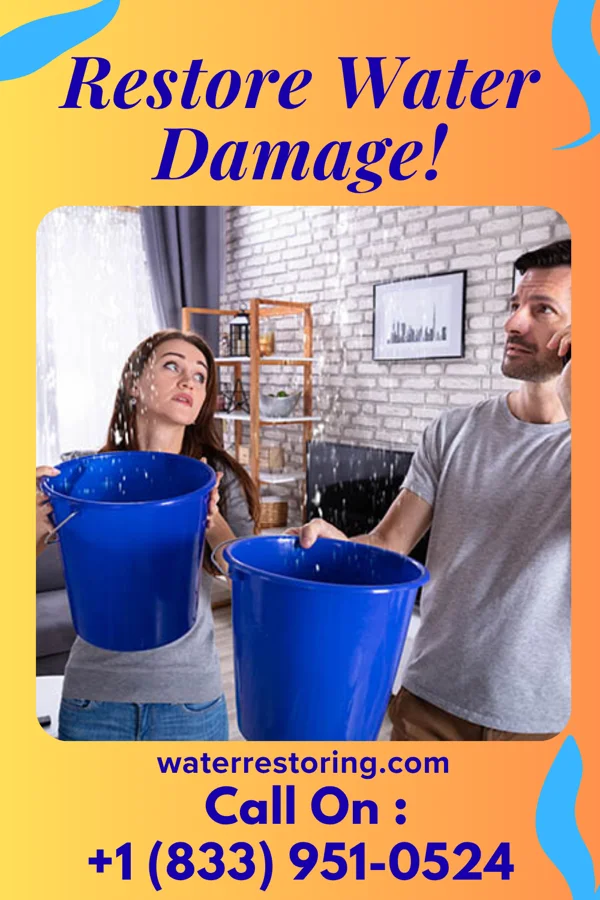 water restoration Royal Sewage Cleanup Contractors Scarville